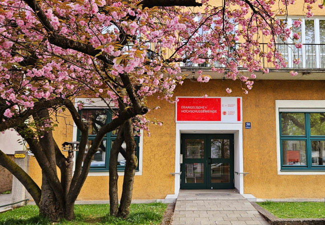 Nymphenburgerstraße 50 mit blühender Kirsche.