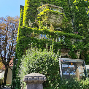 Haus in der Friedrichstraße 25